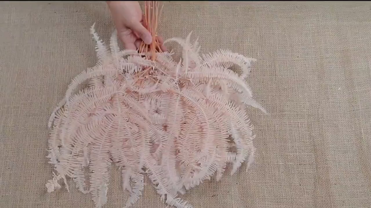 Light Pink Preserved Mountain Fern Leaf: Floral Arrangement, Vase Bouquet
