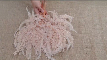 Light Pink Preserved Mountain Fern Leaf: Floral Arrangement, Vase Bouquet