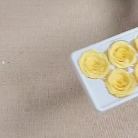 Preserved Yellow Roses - 6 Pack - Forever Flowers