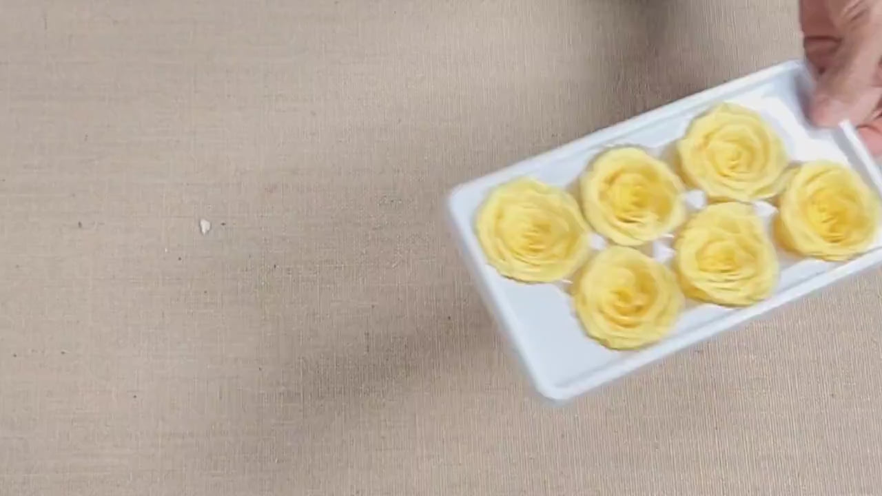 Preserved Yellow Roses - 6 Pack - Forever Flowers