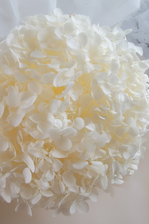 Wedding Installations - Light Overlay
